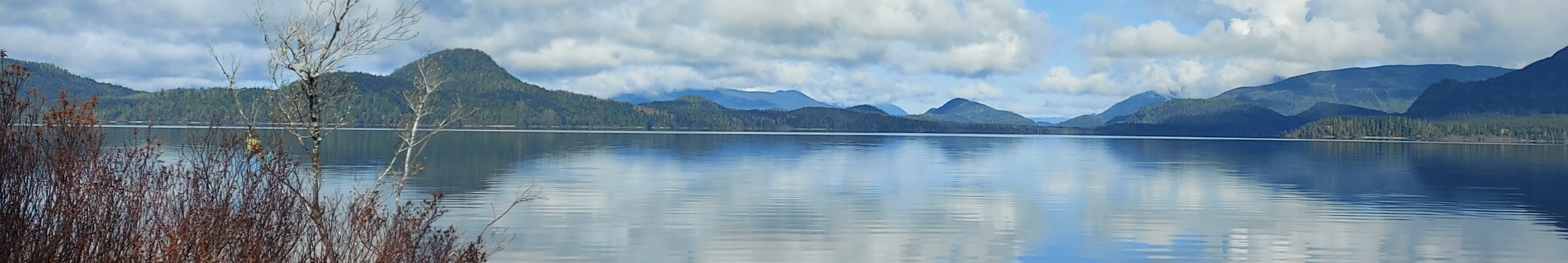 Vancouver Island Lake
